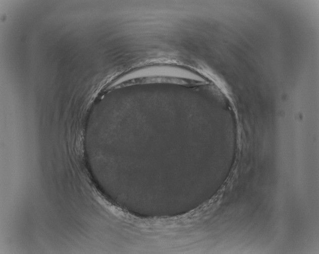 X0000072530009200608041609