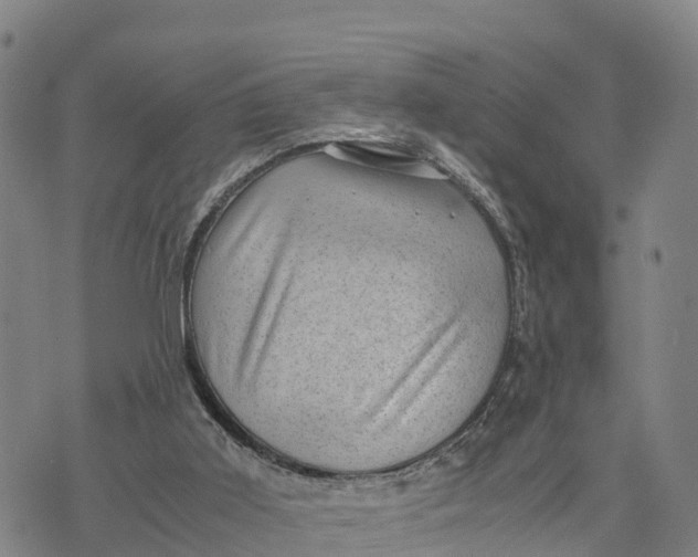 X0000072530011200608041609