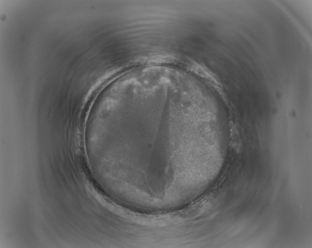 X0000072530012200608041608