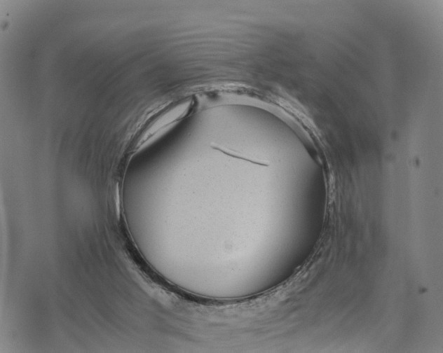 X0000072530013200608041608