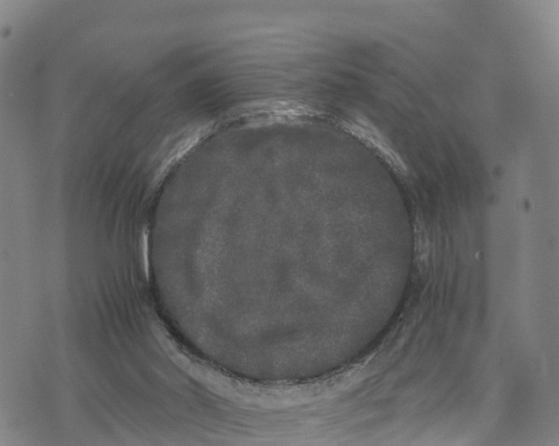 X0000072530014200608041608