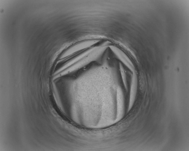 X0000072530015200608041608