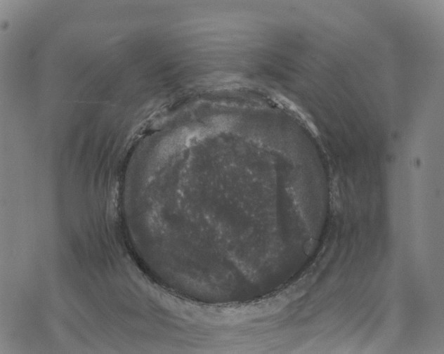 X0000072530018200608041608