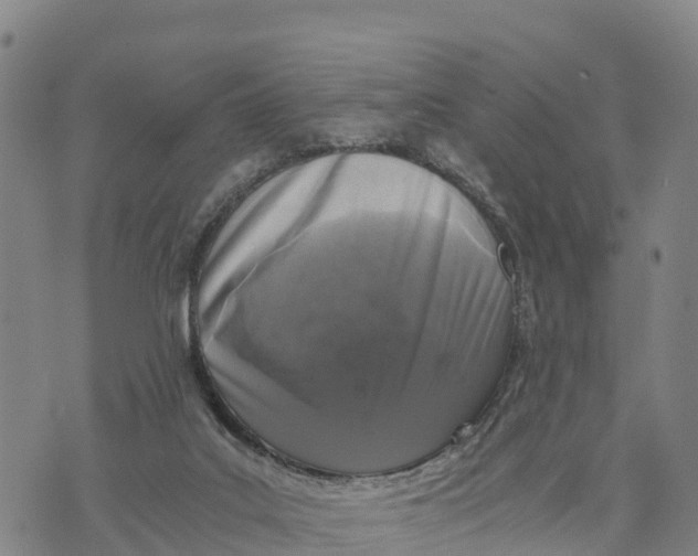 X0000072530019200608041608