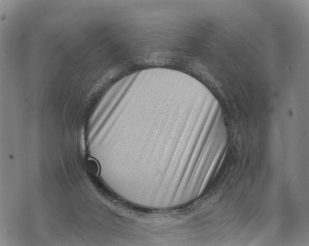 X0000072530020200608041608