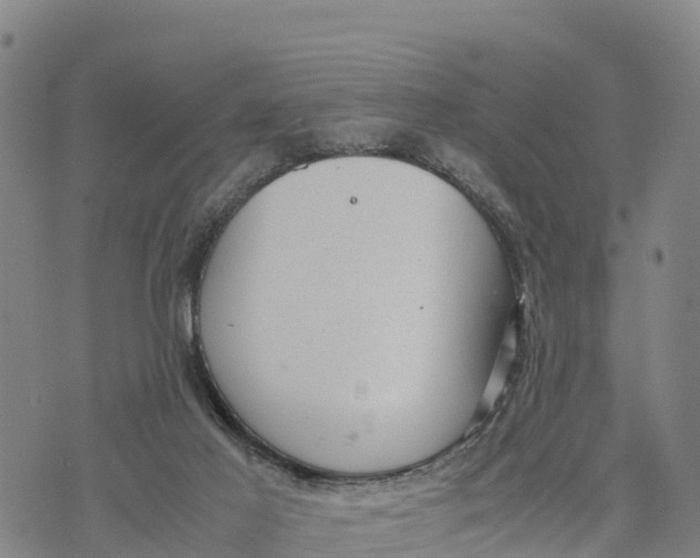 X0000072530021200608041608