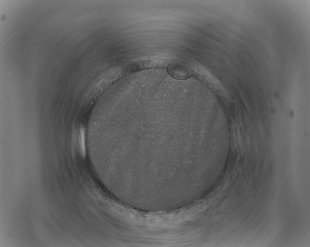 X0000072530022200608041608