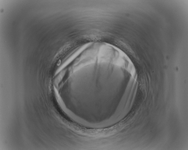 X0000072530023200608041608