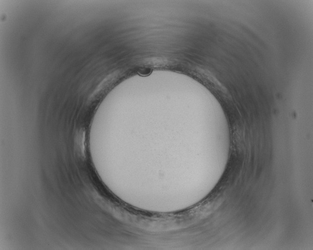 X0000072530024200608041608