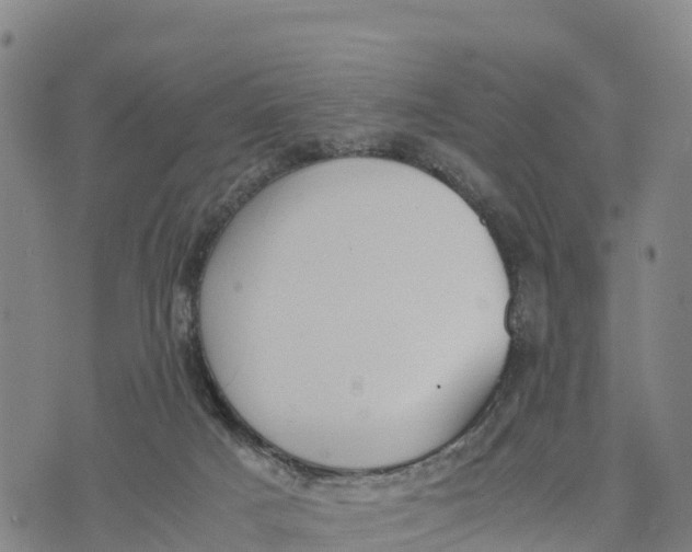 X0000072530025200608041608