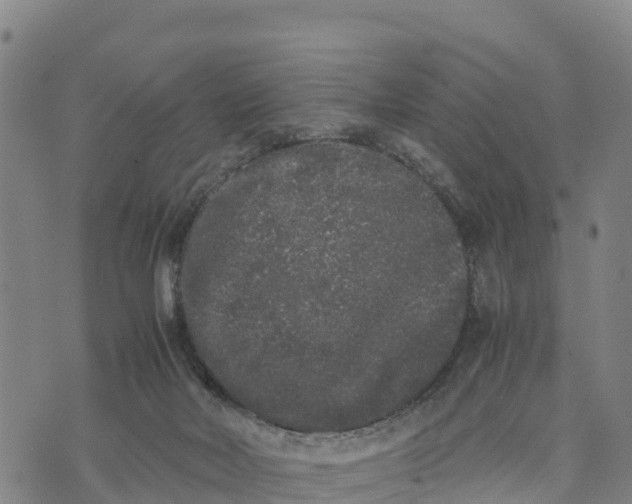 X0000072530026200608041608