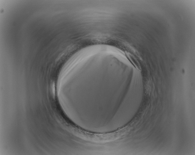 X0000072530027200608041608