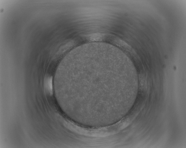 X0000072530028200608041608