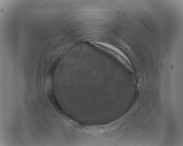 X0000072530029200608041608