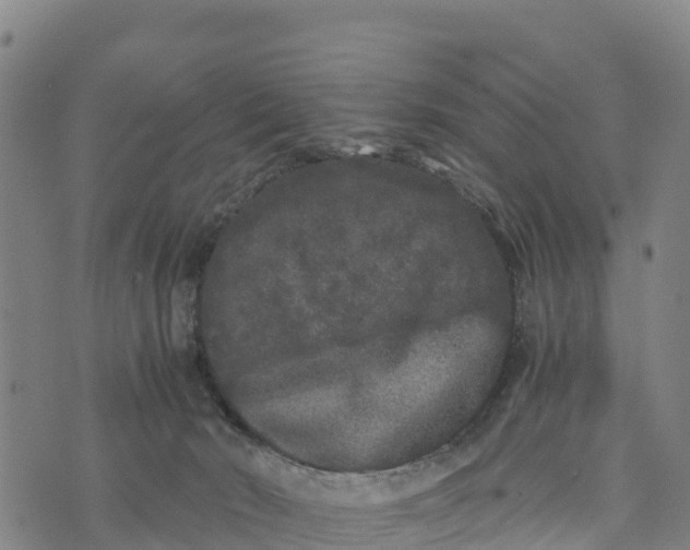 X0000072530030200608041608