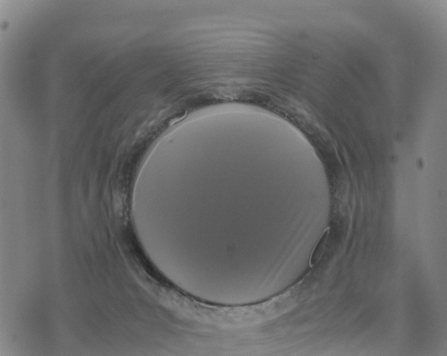 X0000072530031200608041608