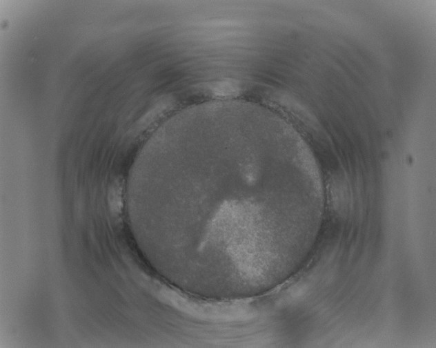 X0000072530032200608041608