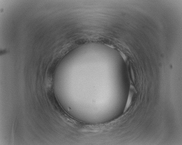 X0000072530033200608041608