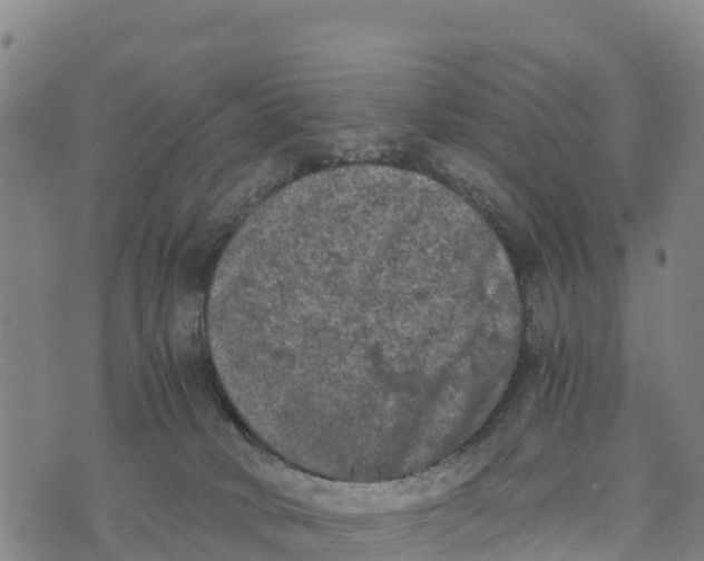 X0000072530034200608041608