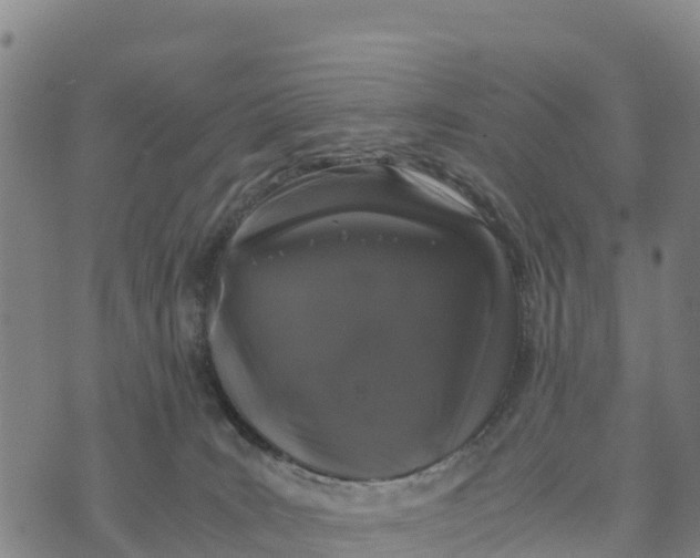 X0000072530035200608041608