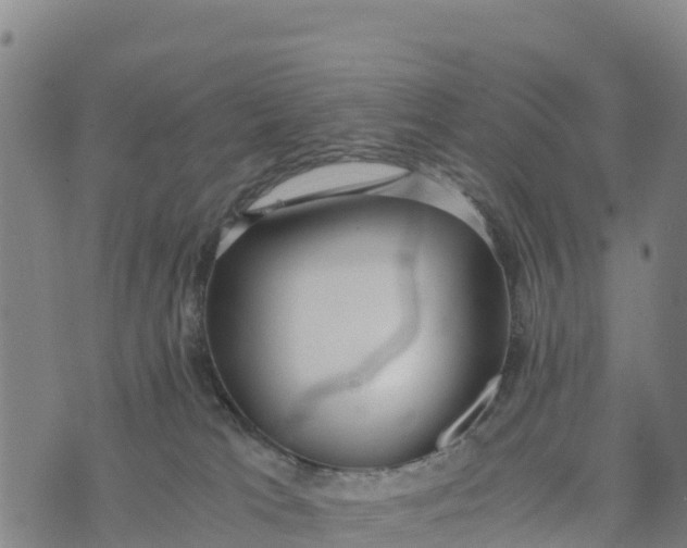 X0000072530037200608041608