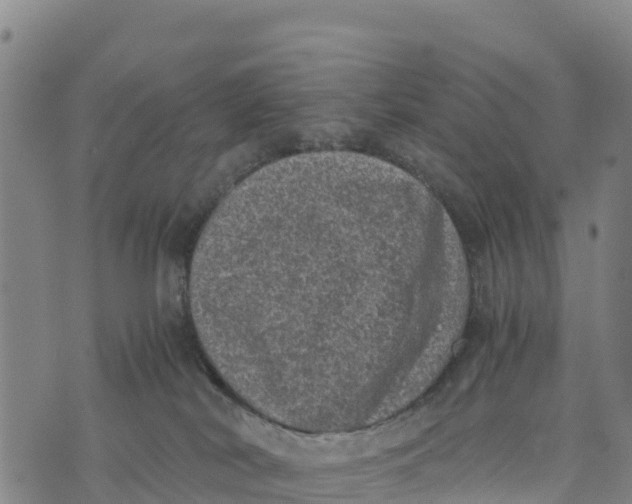 X0000072530038200608041608