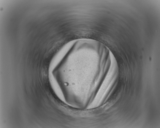 X0000072530040200608041608