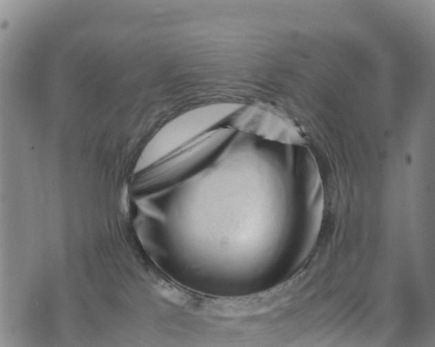 X0000072530041200608041608