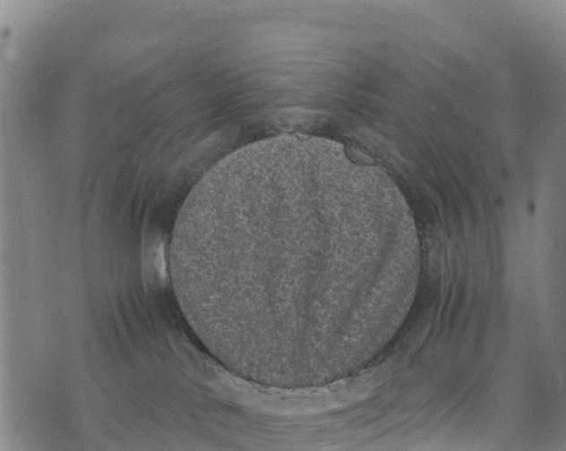 X0000072530042200608041608