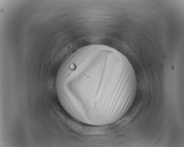 X0000072530044200608041608