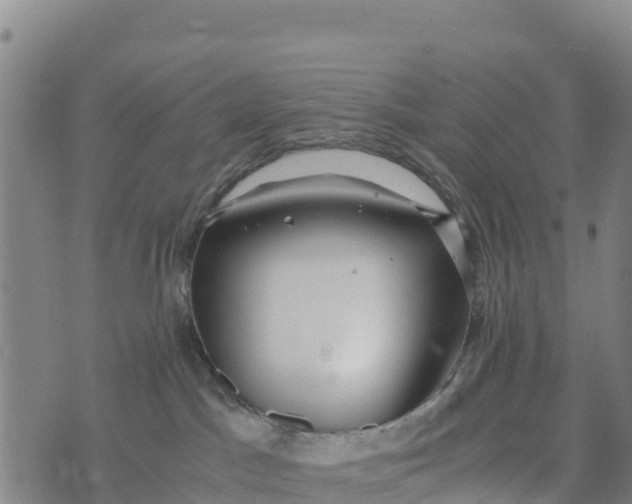 X0000072530045200608041608