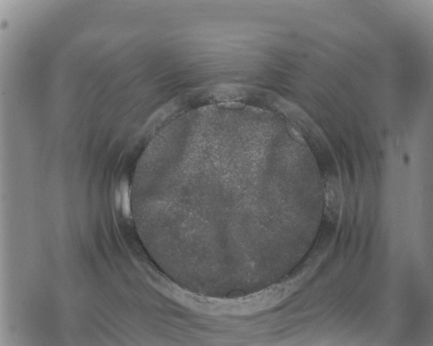 X0000072530046200608041608