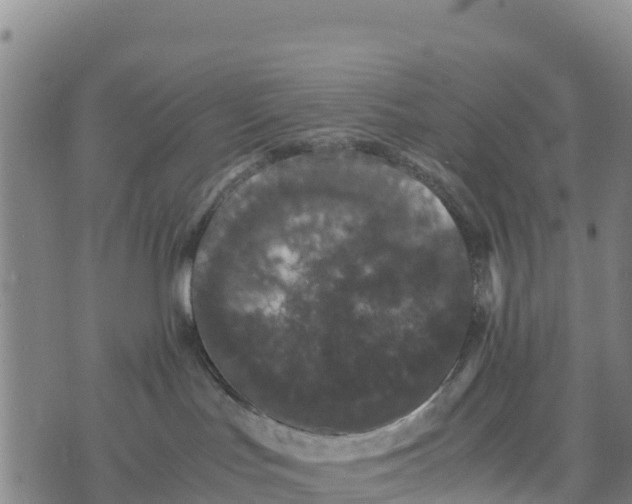 X0000072530047200608041608