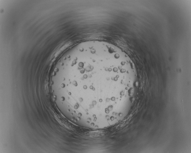 X0000072530050200608041607