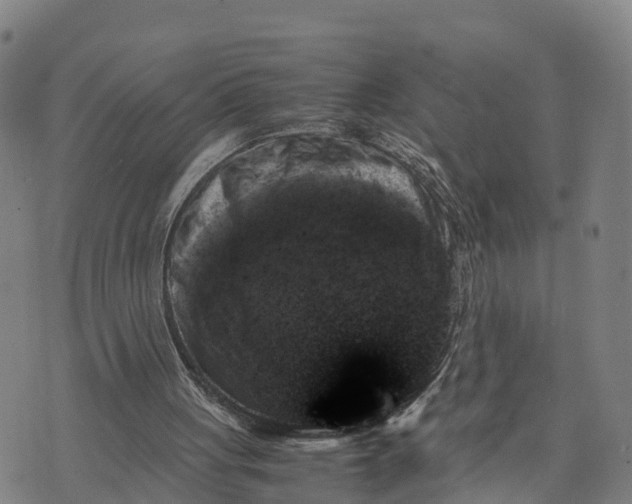 X0000072530051200608041607