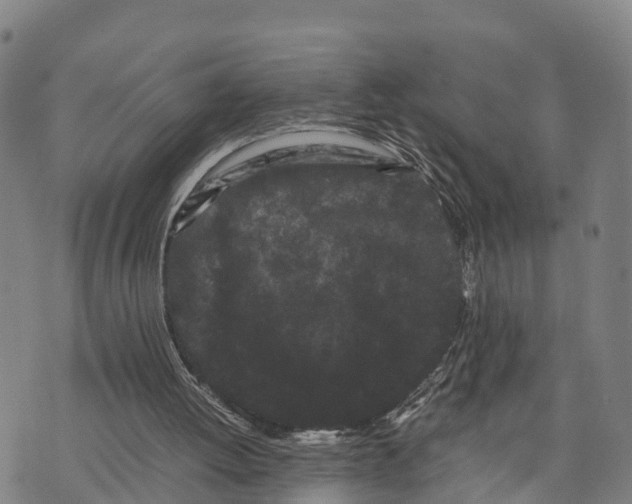 X0000072530052200608041607