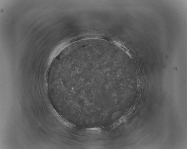 X0000072530053200608041607