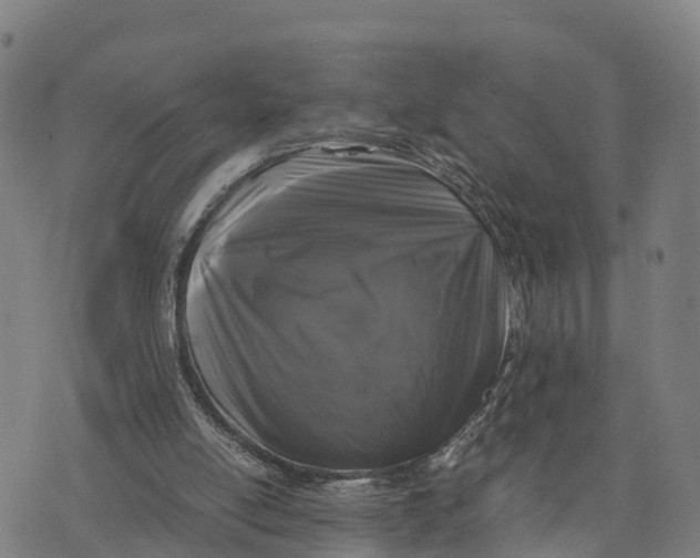 X0000072530054200608041607