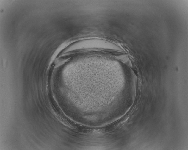 X0000072530056200608041607