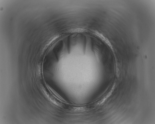 X0000072530057200608041607