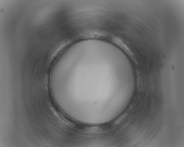 X0000072530058200608041607