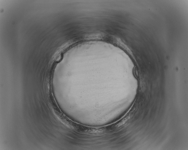 X0000072530059200608041607