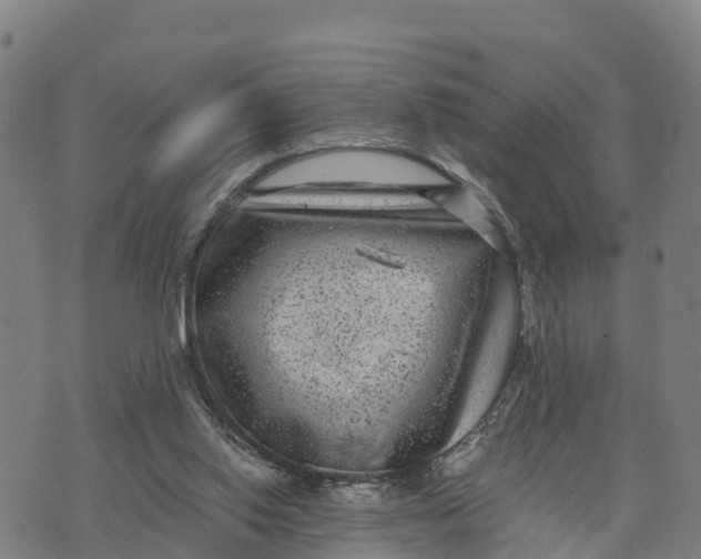 X0000072530062200608041607