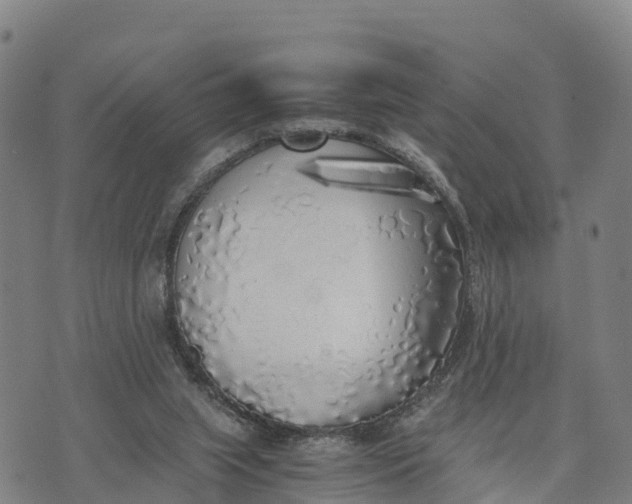 X0000072530063200608041607