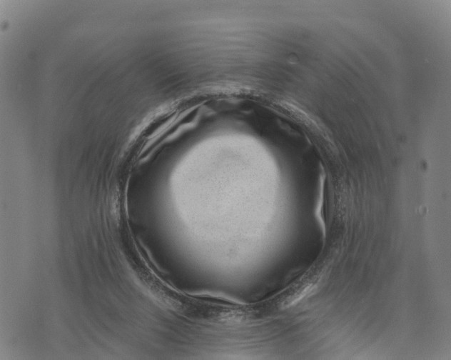 X0000072530064200608041607