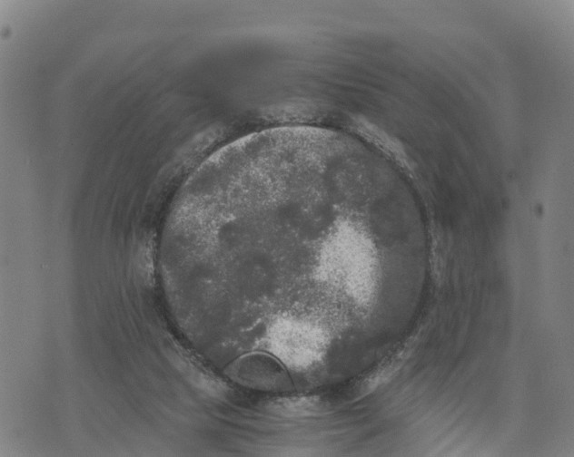 X0000072530065200608041607