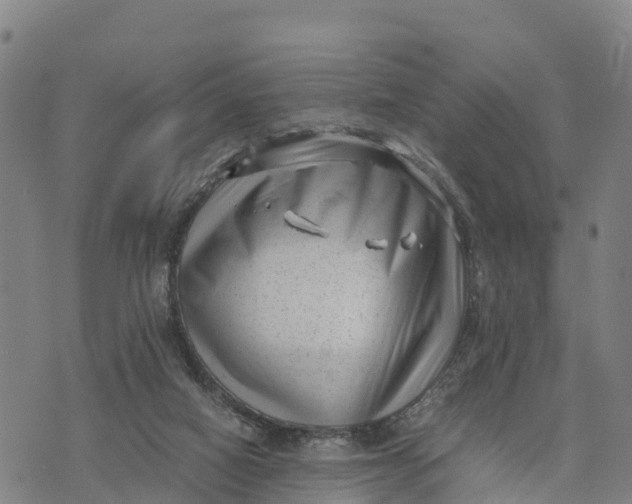 X0000072530066200608041607