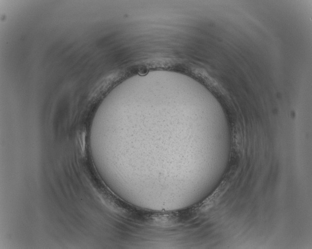 X0000072530070200608041607