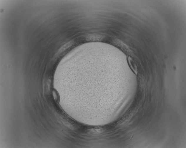 X0000072530071200608041607