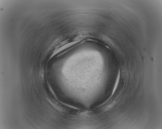 X0000072530072200608041607